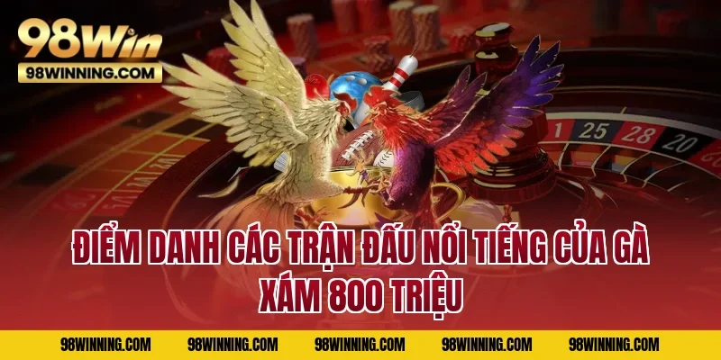 Điểm danh các trận đấu nổi tiếng của gà xám 800 triệu