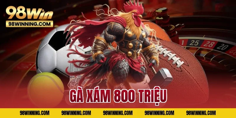 Gà Xám 800 Triệu