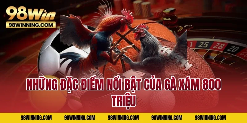 Những đặc điểm nổi bật của gà xám 800 triệu